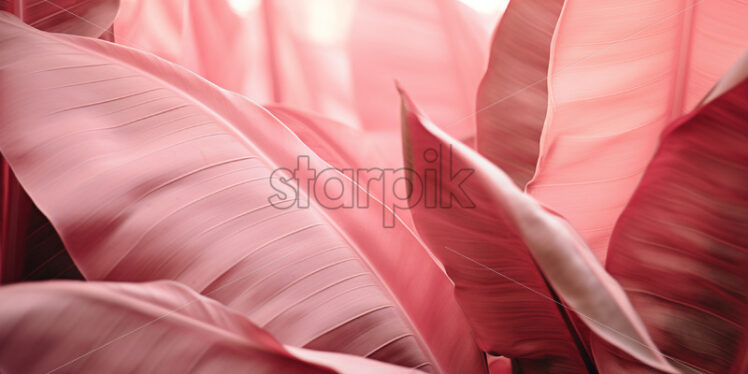 A background of pink banana leaves - Starpik Stock