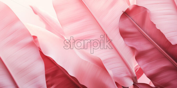 A background of pink banana leaves - Starpik Stock