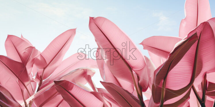 A background of pink banana leaves - Starpik Stock