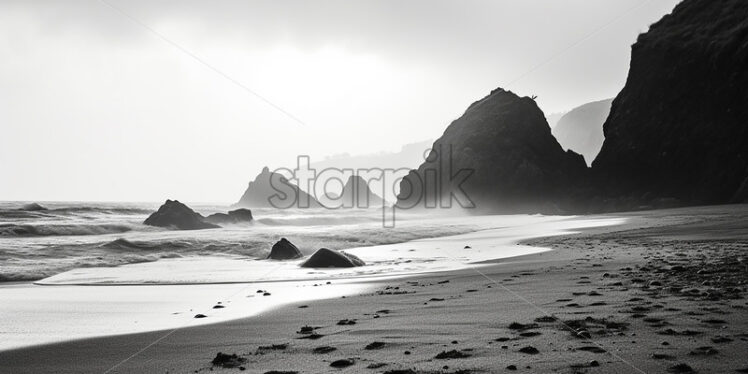 A beach in black and white colors - Starpik Stock