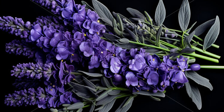 A bouquet of lavender - Starpik Stock