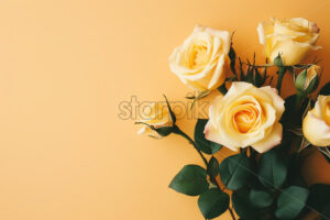 A bouquet of roses on a yellow background - Starpik Stock