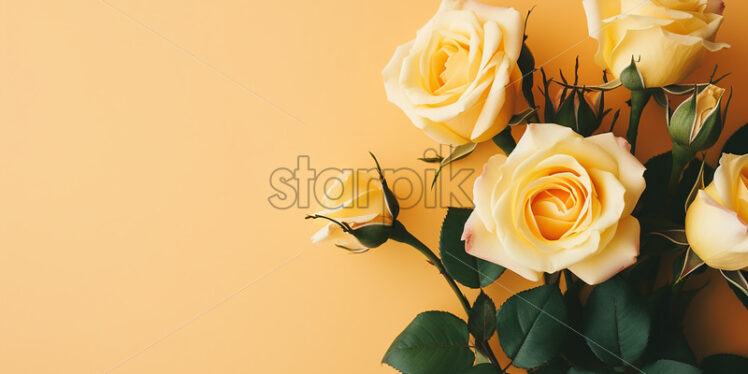 A bouquet of roses on a yellow background - Starpik Stock