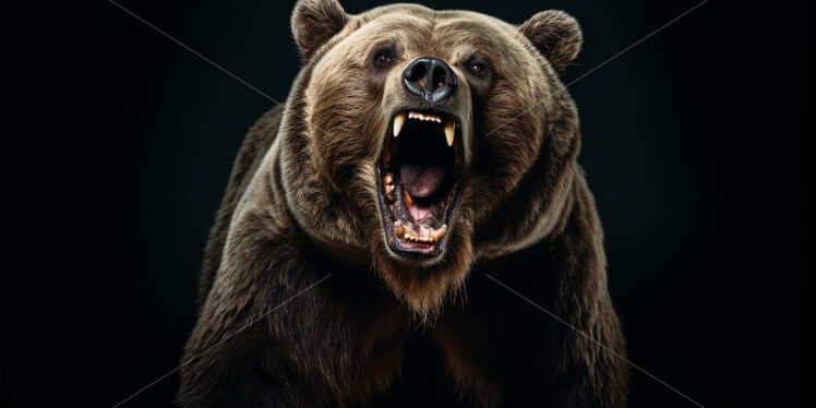 A brown bear with its mouth open on a black background - Starpik Stock