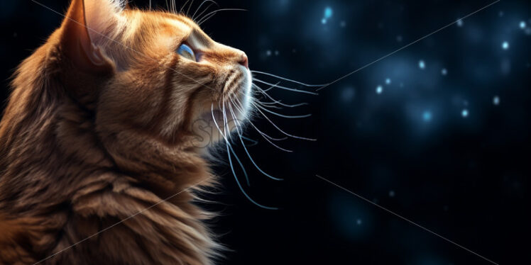 A cat in profile against the background of a starry sky - Starpik Stock