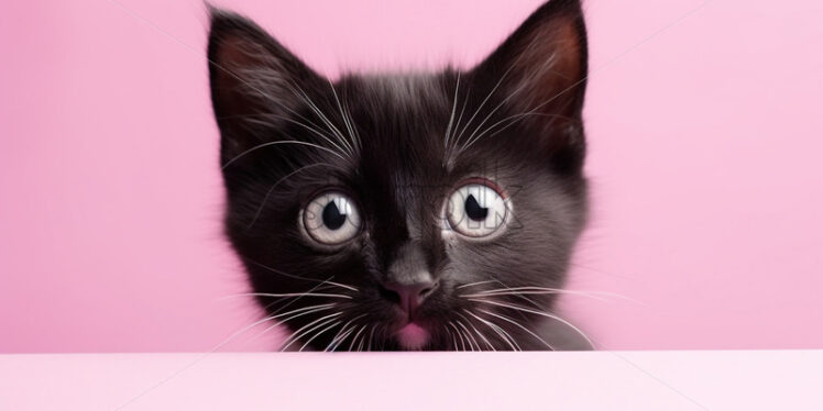 A cat peeks out from behind a pink background - Starpik Stock