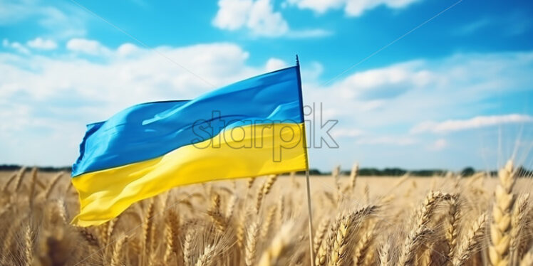 A flag of Ukraine in a field of wheat - Starpik Stock