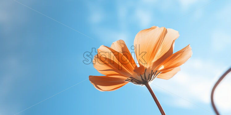 A flower close up against the background of a blue sky - Starpik Stock