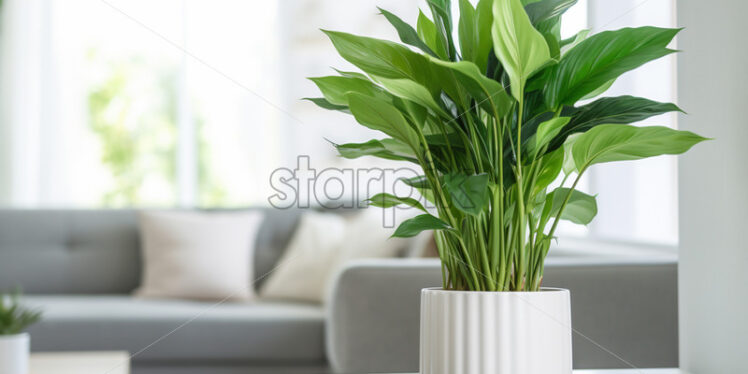 A flower in a white pot on a table in the living room - Starpik Stock