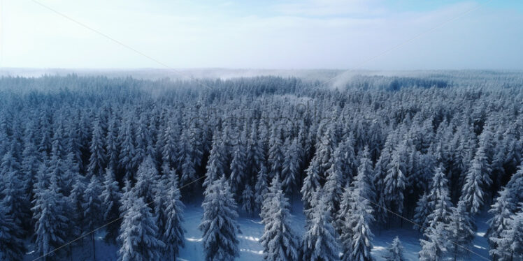 A forest in winter, top view - Starpik Stock