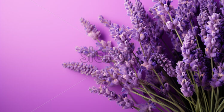 A lavender themed background with space for text - Starpik Stock