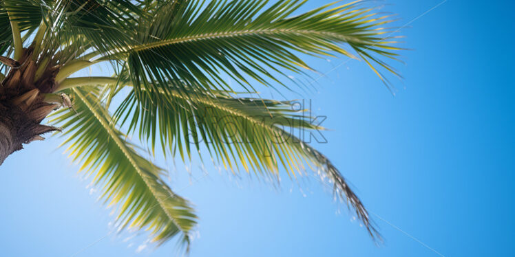 A palm tree and the blue sky - Starpik Stock