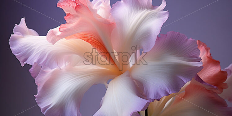 A pink gladiolus on a pale background - Starpik Stock