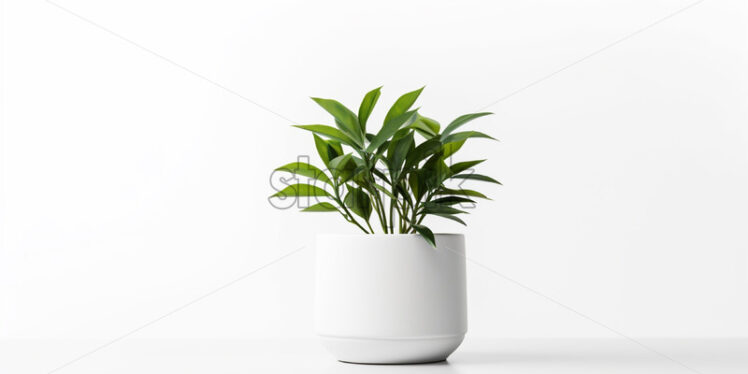 A plant in a small white pot on a white background - Starpik Stock