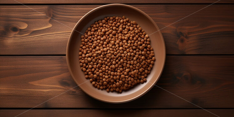 A plate of dog food on a wooden floor - Starpik Stock