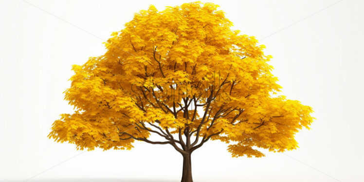 A tree with yellow leaves on a white background - Starpik Stock