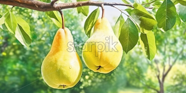 A watercolor painting of pears on a branch in summer in the garden - Starpik Stock