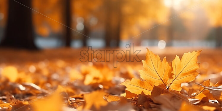 An autumn landscape with yellow leaves in a forest - Starpik Stock