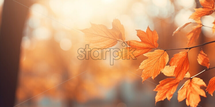 An autumn landscape with yellow leaves in a forest - Starpik Stock