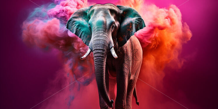 An elephant at a festival of colors in India - Starpik Stock