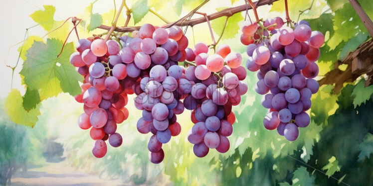 Apple grapes in watercolor in summer in the garden - Starpik Stock