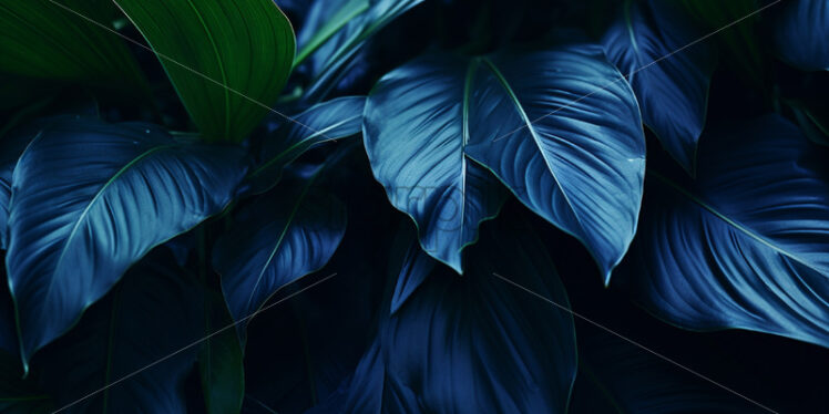 Blue tropical leaves - Starpik Stock