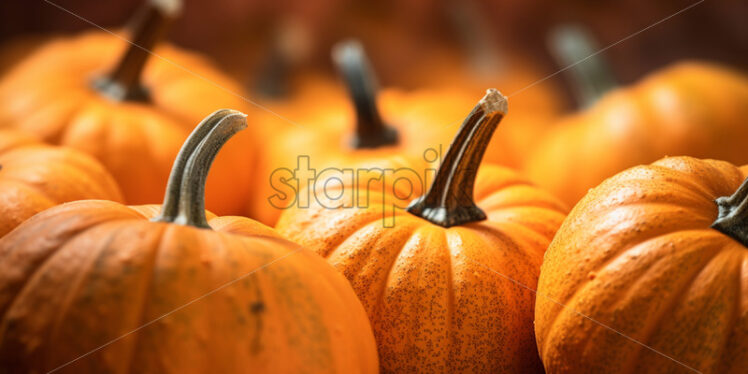 Close-up photo of some yellow pumpkins - Starpik Stock