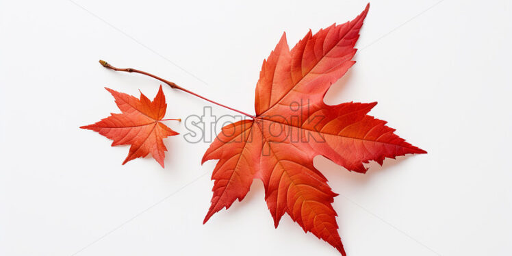 Fallen yellow leaves on white background - Starpik Stock