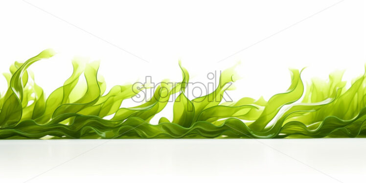 Fresh seaweed on a white background - Starpik Stock