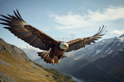 Generative AI a bald eagle flying over a prairie - Starpik Stock