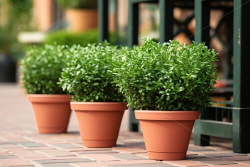 Generative AI a pot with a plant sitting on the table nearby - Starpik Stock