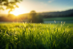 Generative AI blades of grass on a plain, close-up photo - Starpik Stock