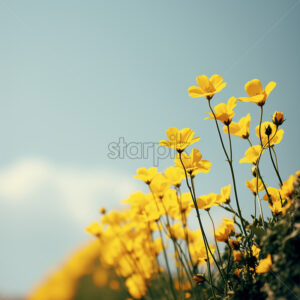 Generative AI yellow flowers in a field close up - Starpik Stock