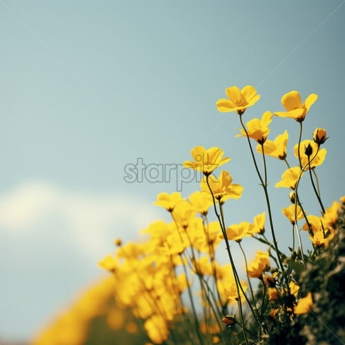 Generative AI yellow flowers in a field close up - Starpik Stock