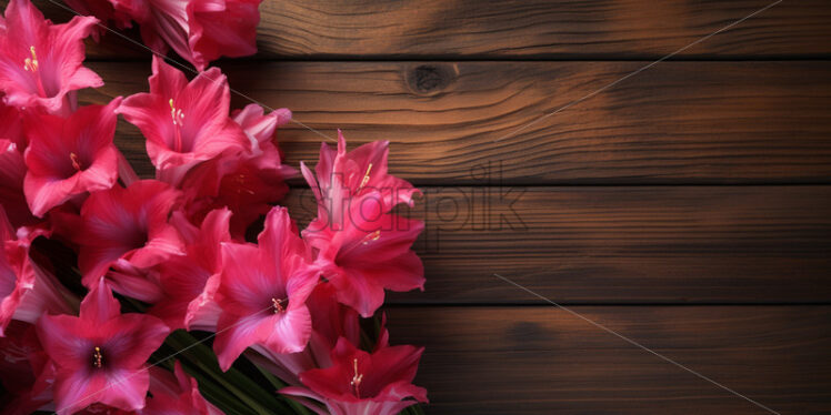 Gladiola flowers on a wooden surface - Starpik Stock