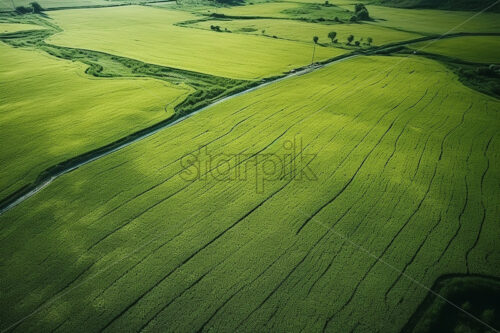 Green agricultural lands seen from the height of the bird’s flight - Starpik Stock