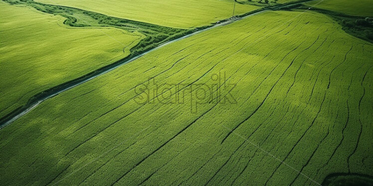 Green agricultural lands seen from the height of the bird’s flight - Starpik Stock