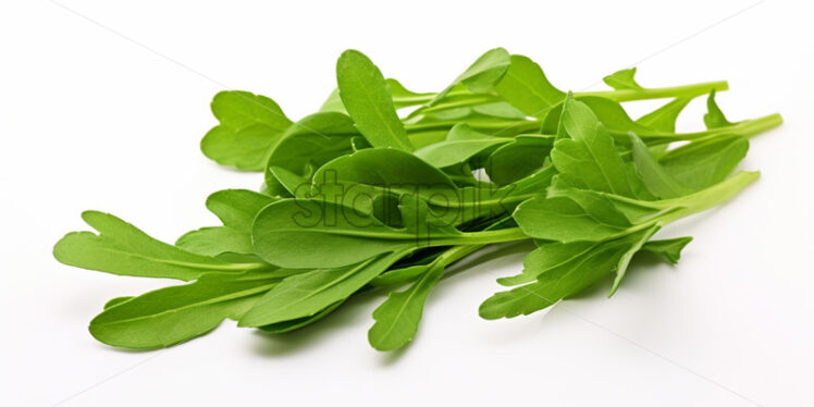 Green arugula on a white background - Starpik Stock