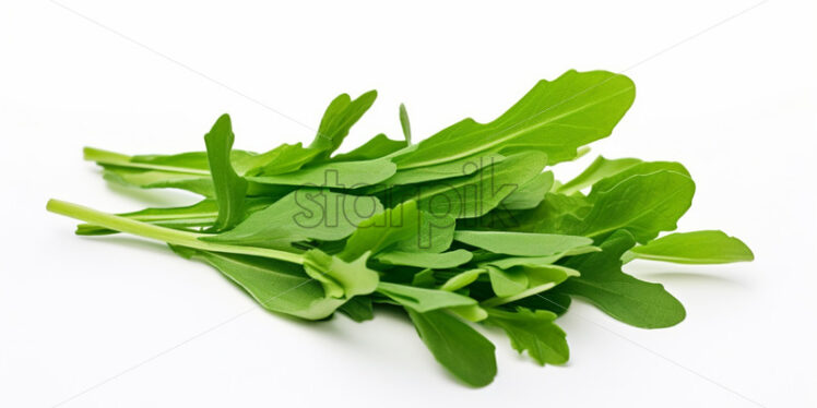 Green arugula on a white background - Starpik Stock