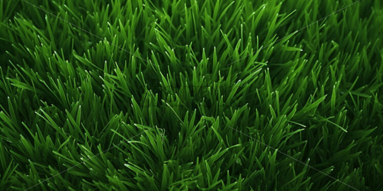 Green grass texture background - Starpik Stock