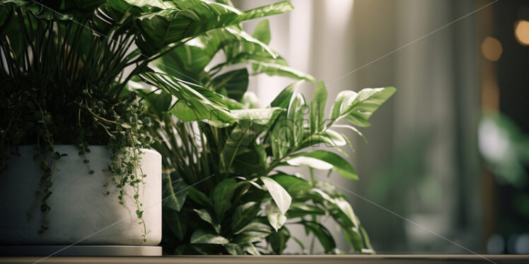 Indoor flowers in a pot - Starpik Stock