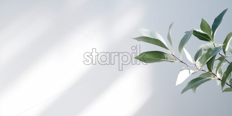 Minimalist light on a blurred white background, a plant - Starpik Stock