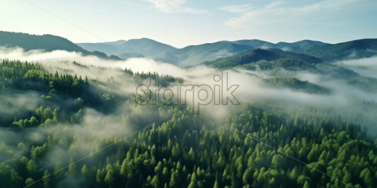 Morning fog above the forest - Starpik Stock