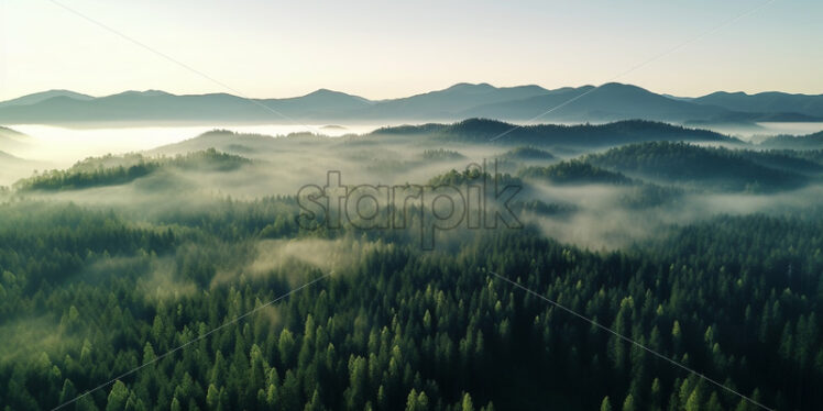 Morning fog above the forest - Starpik Stock