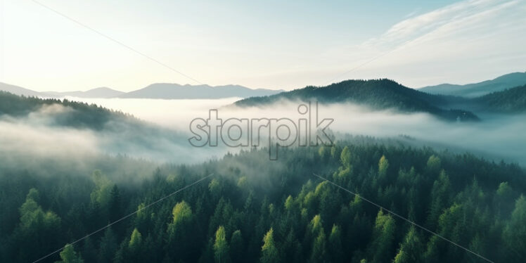 Morning fog above the forest - Starpik Stock