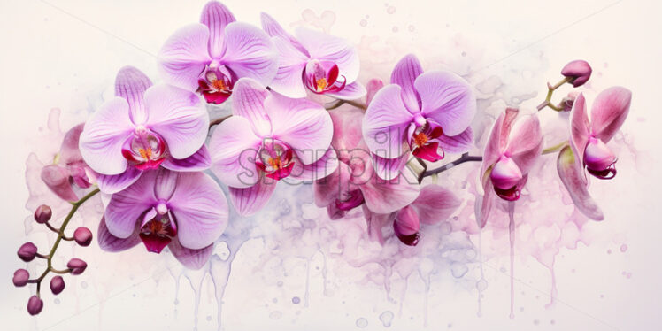 Orchid flowers card background spring watercolour - Starpik Stock