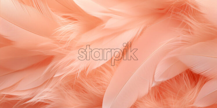 Peach feathers delicate background - Starpik Stock