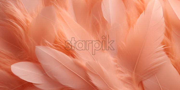 Peach feathers delicate background - Starpik Stock