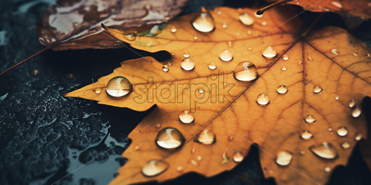 Some autumn yellow leaves, in a rainy day with water drops on them - Starpik Stock