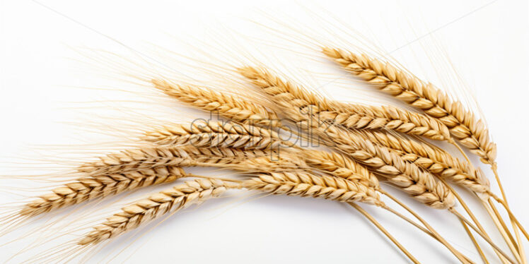 Spices of wheat on a white background - Starpik Stock